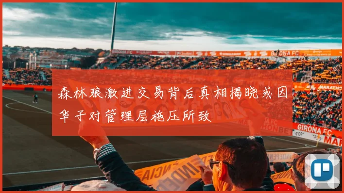 森林狼激进交易背后真相揭晓或因华子对管理层施压所致